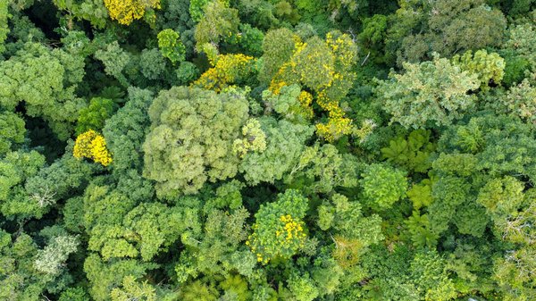 Avantages du volet roulant pour votre maison